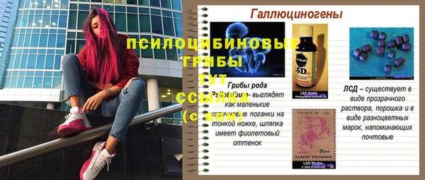 mdpv Бородино