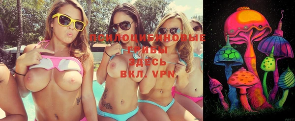мдпв Верея