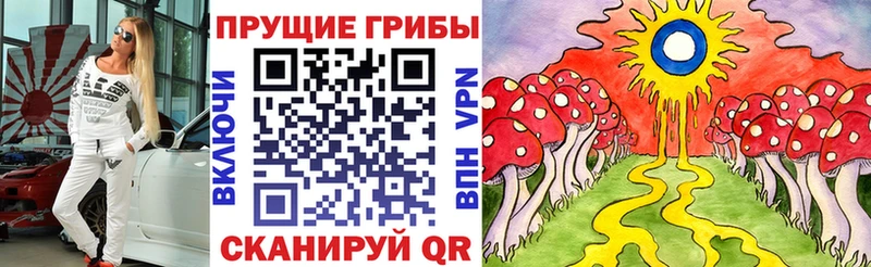 Купить где  Дмитриев  Галлюциногенные грибы Psilocybine cubensis 